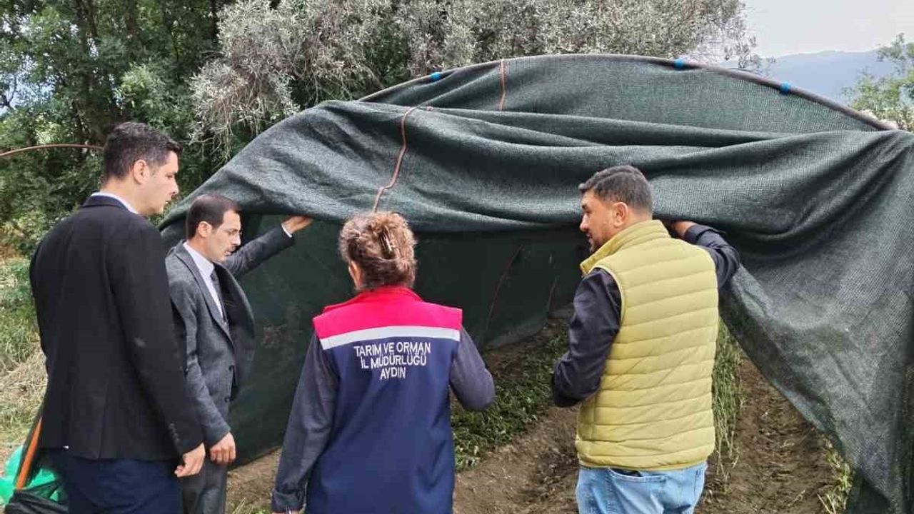 Bozdoğan'da salep hasadı için denetimler başlatıldı