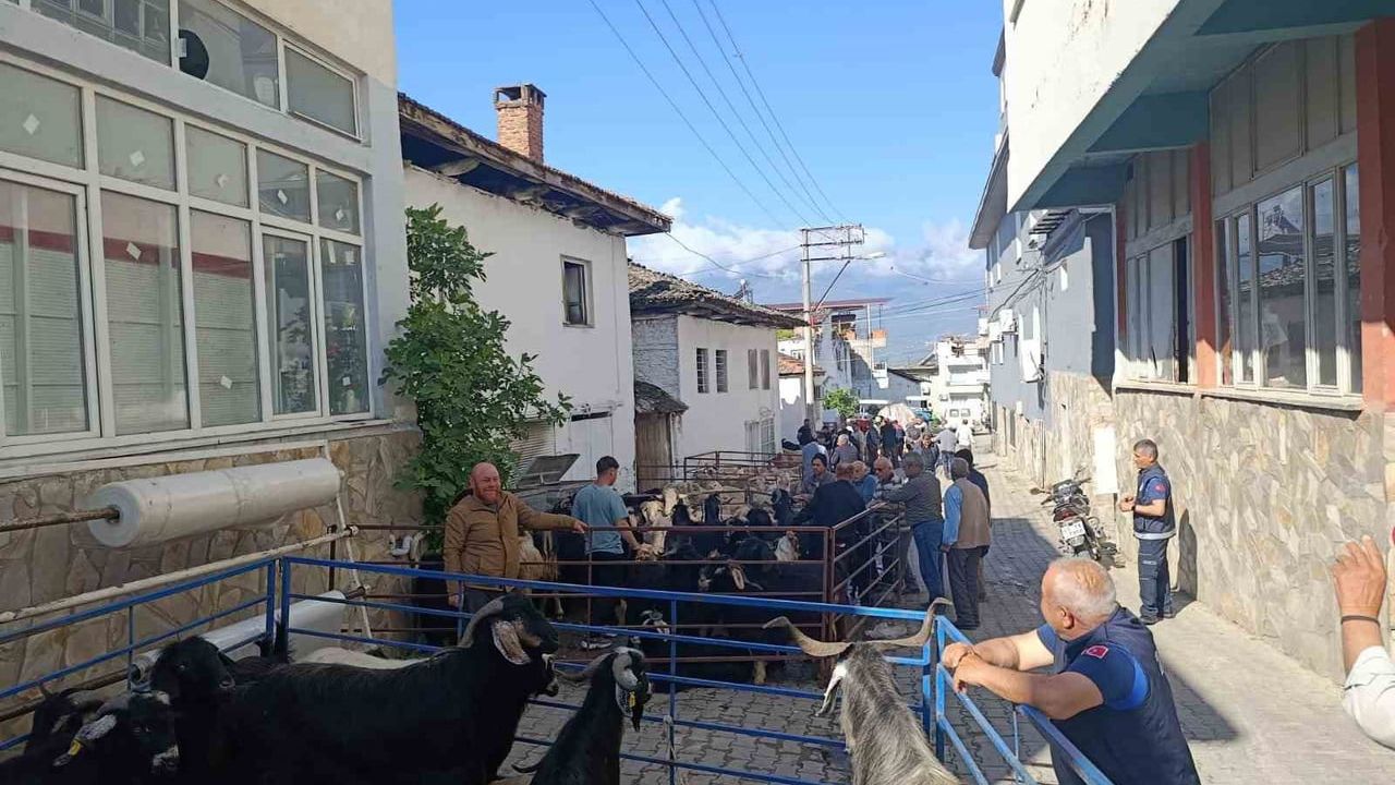 Bozdoğan Yazıkent’te Kurban Pazarı Canlandı: Küçükbaş Fiyatları 23-35 Bin TL Arasında