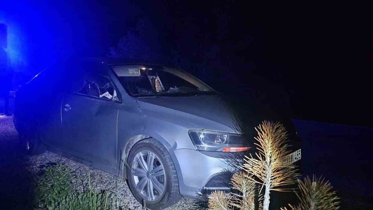 Bozüyük'te otomobile geyik çarptı: 2 kişi yaralandı