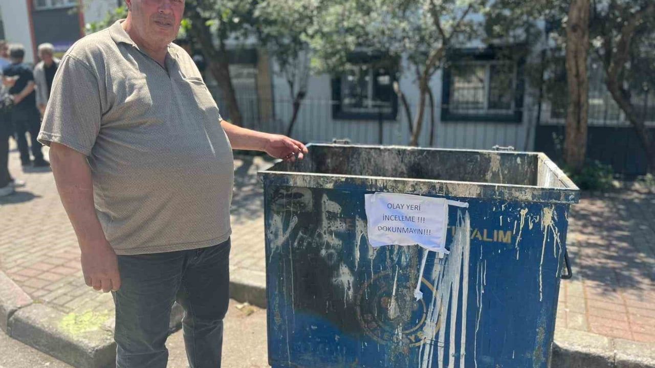 Buca'da çöp konteynerinde 33 ölü kedi bulundu; veteriner hekim gözaltına alındı