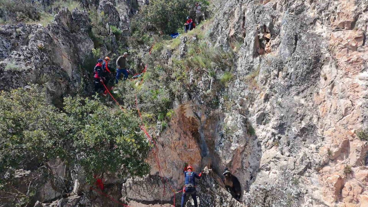 Burdur'da dağlık arazide mahsur kalan keçiler AFAD tarafından kurtarıldı