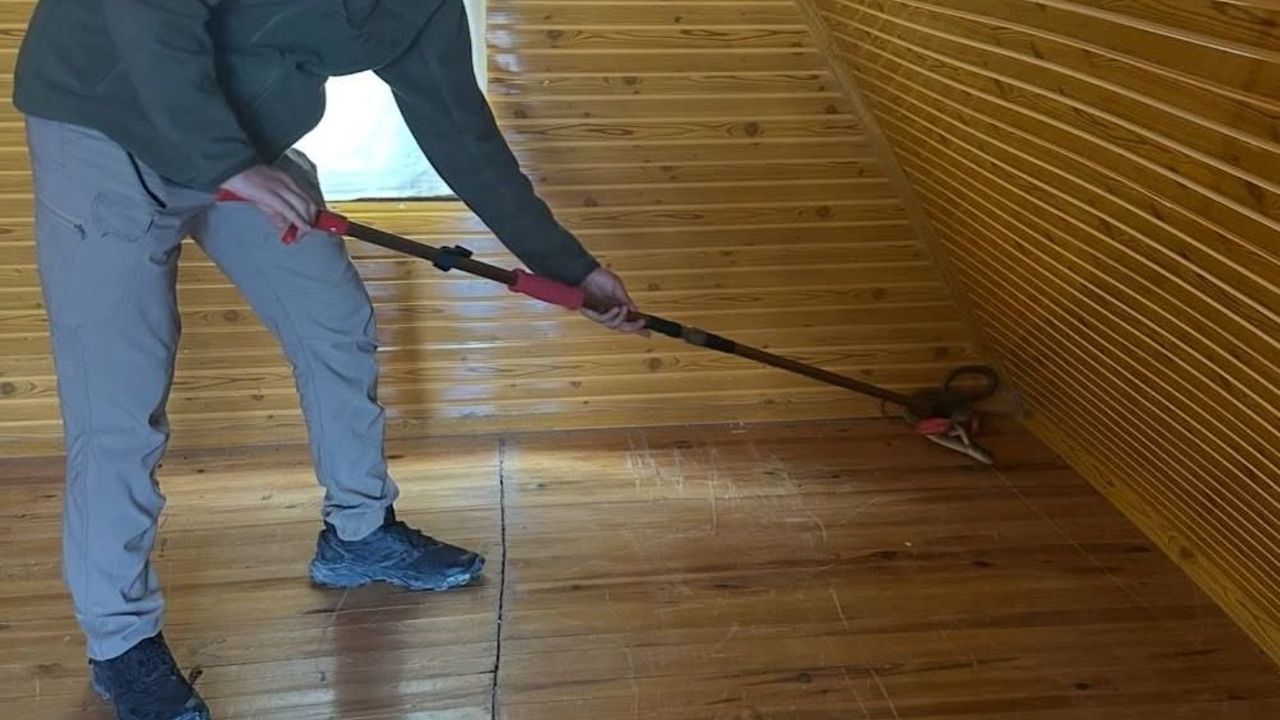 Burdur'da Eve Giren Hazer Yılanı Yakalanıp Doğal Yaşam Alanına Salındı