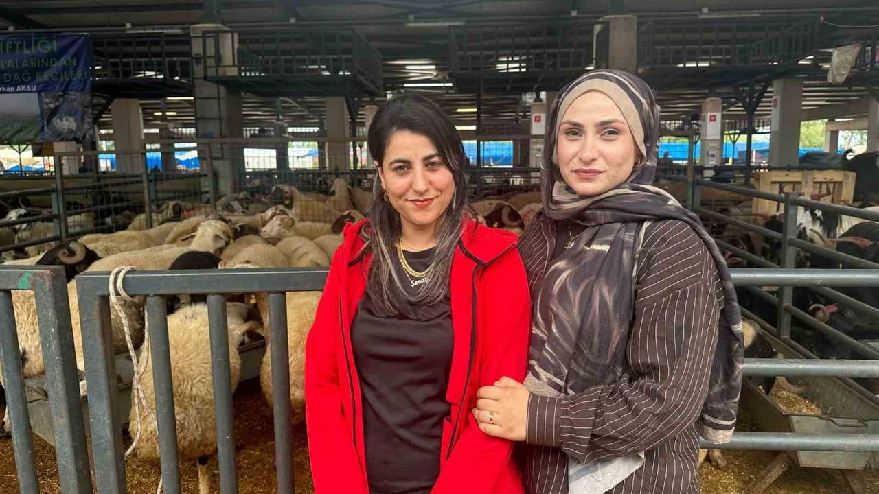 Bursa'da iki genç kadın celep kurban pazarında rekabeti artırdı