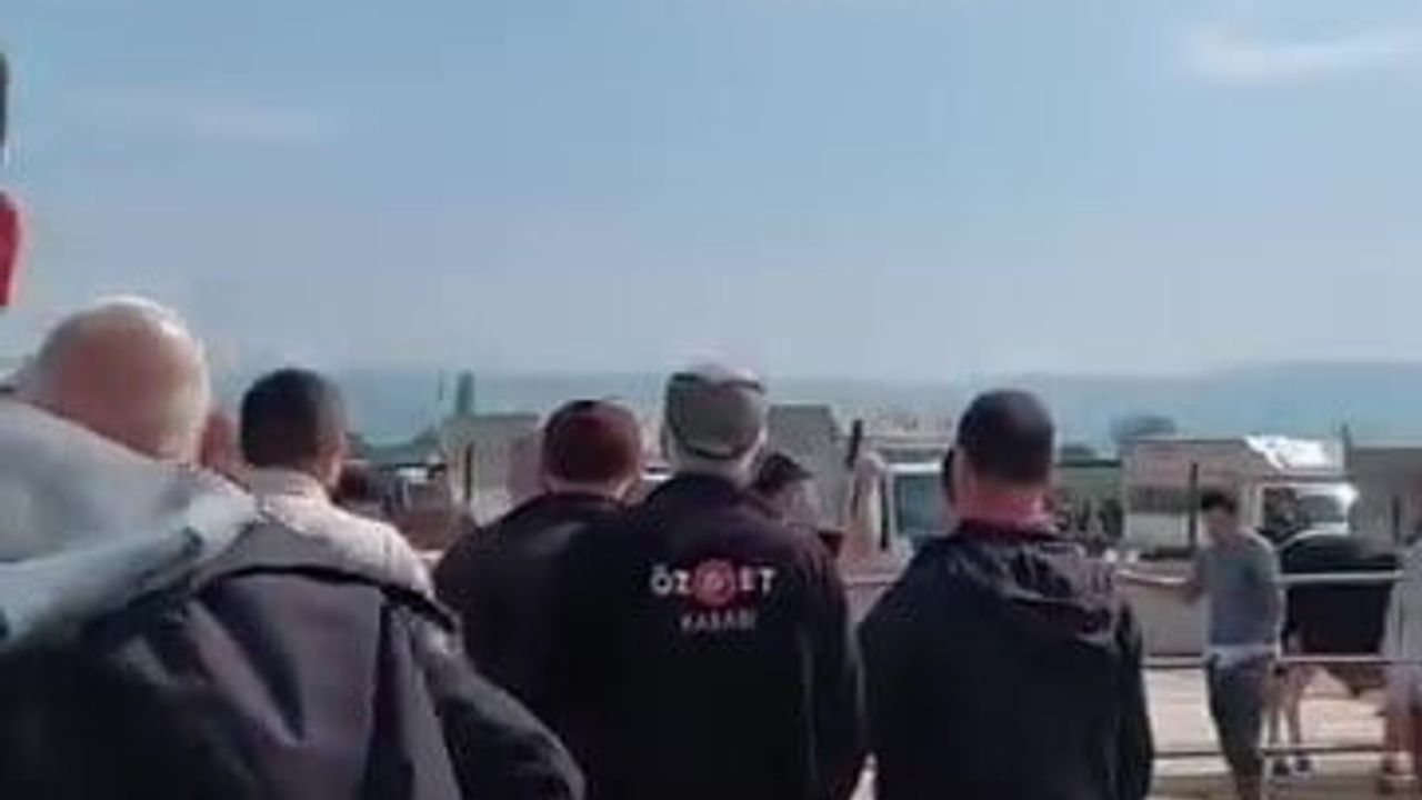 Bursa İnegöl’de kurbanlık pazarında kavga: Jandarma havaya ateş açtı, kadın astsubay müdahalesi