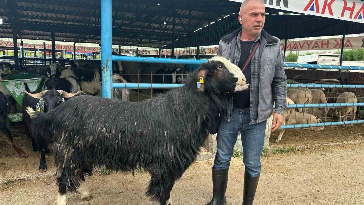Bursa İsabey Kurban Pazarı'nda 120 kg ağırlığındaki keçi 47 bin liraya satıldı