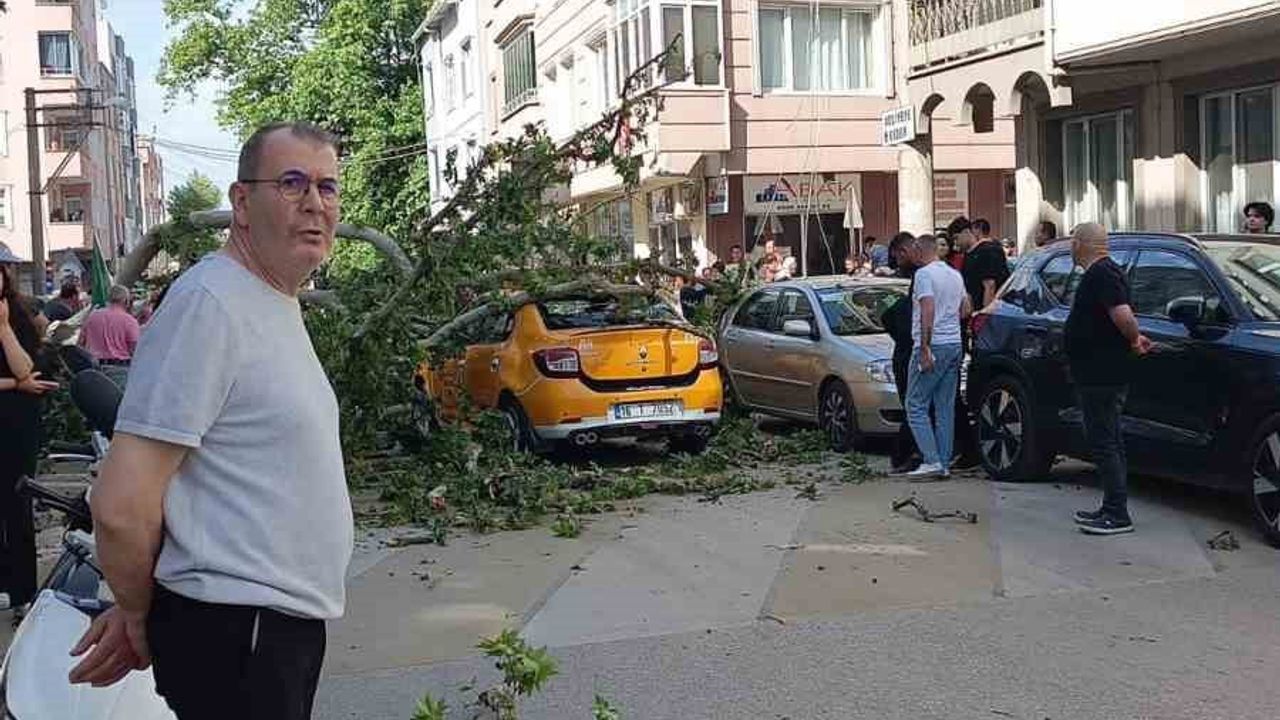 Bursa Karacabey'de Adliye Caddesi'nde Devrilen Ağaç: 1 Kişi Yaralandı