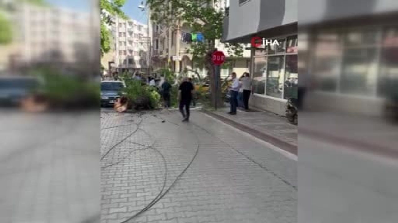 Bursa Karacabey'de devrilen ağaç 2 taksi ve motosiklete düştü; 1 kişi yaralandı