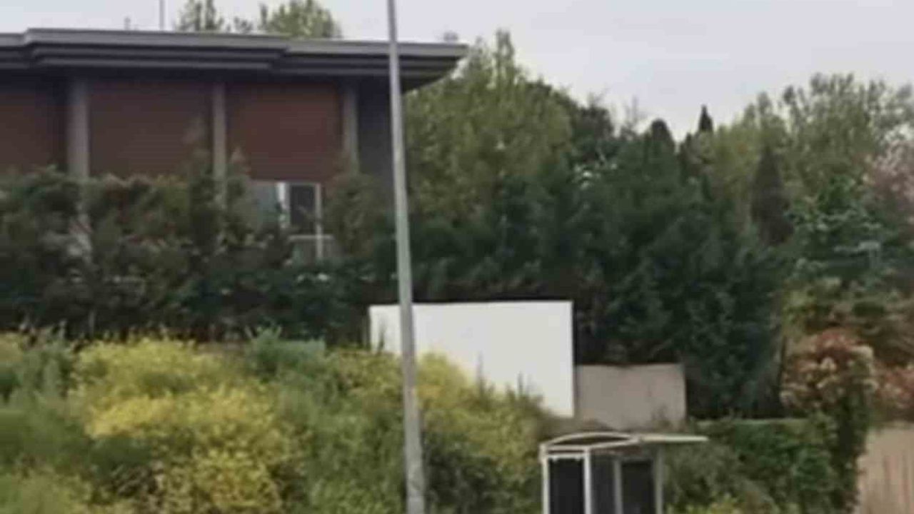 Bursa Mudanya'da aç kalan domuz sürüsü gündüz vakti Bademli Mahallesi'ne indi