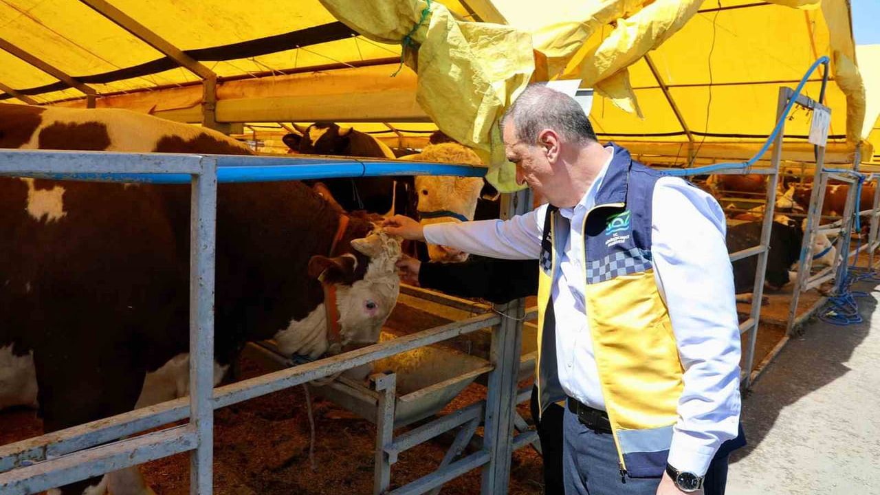 Büyükçekmece Belediyesi Kurban Satış ve Kesim Tesisi hizmete hazır