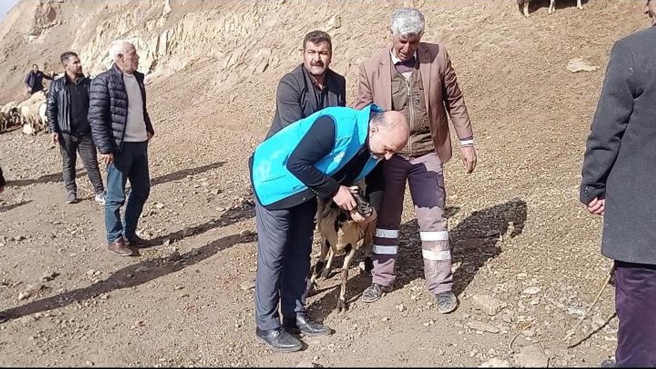 Çaldıran Müftülüğü, Kurban Pazarı Ziyaretinde Vatandaşları Fıkhî ve Ahlakî Konularda Bilgilendirdi