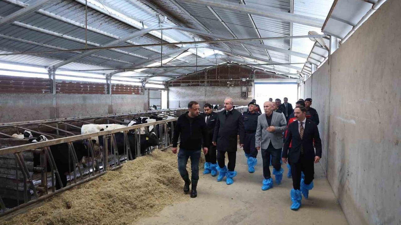 Çanakkale'de Kurban Bayramı Öncesi Büyükbaş İşletmesinde İnceleme