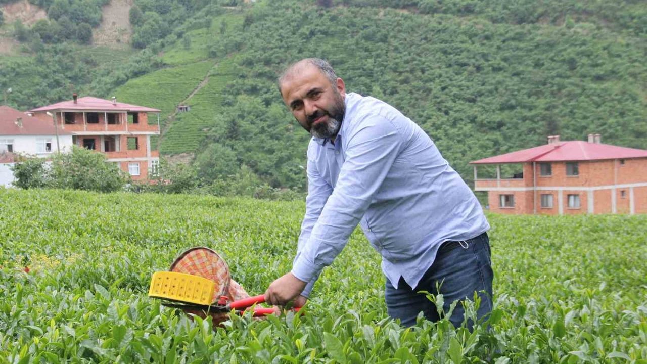 Çay üreticileri: Yaş çay fiyatı artışı kuru çaya da zam beklentisi