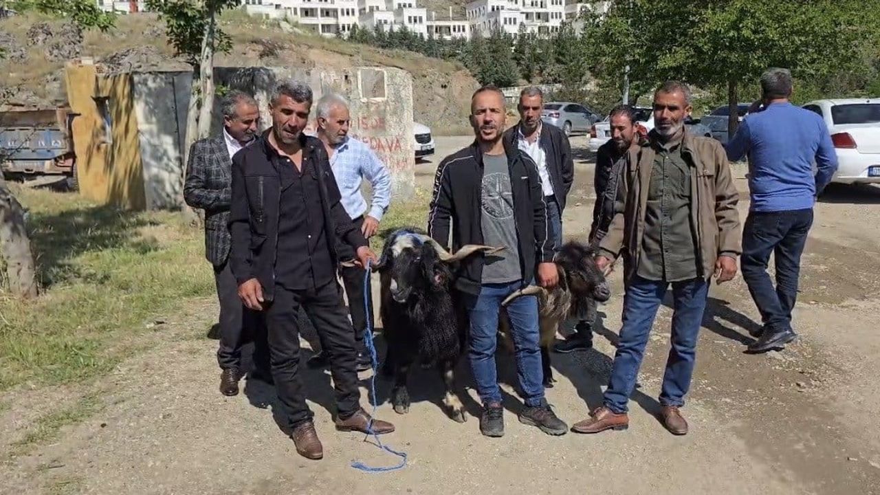 Çermik'te arefe günü kurbanlık talebi arttı: Küçükbaşlar 10-45 bin lira arasında alıcı buldu