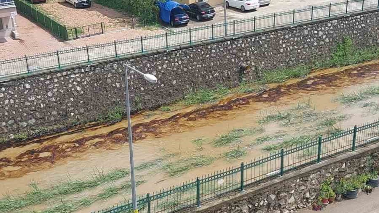 Cide'de Kuz Deresi'ne sızan kimyasal atık Karadeniz'e ulaştı; spor salonu kaynaklı kirlilik tutanağa bağlandı