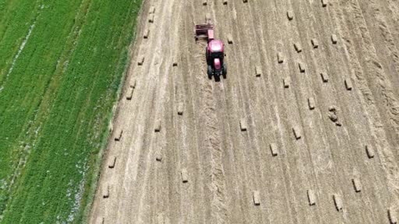 Çine Ovası'nda balya mesaisi başladı: Üreticiler yağıştan umutlu, maliyetler gölgesinde