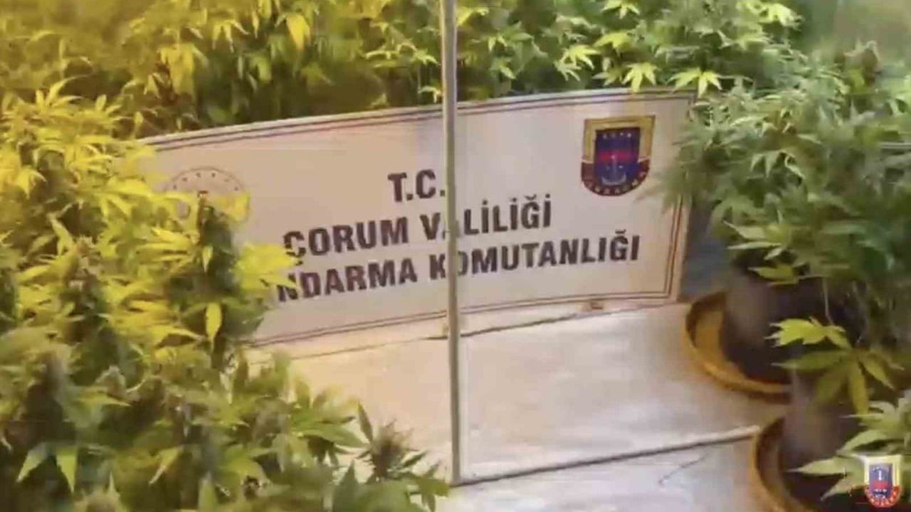 Çorum'da Jandarma Operasyonları: 2026'nın İlk 4 Ayında 220 Şüpheli Yakalandı