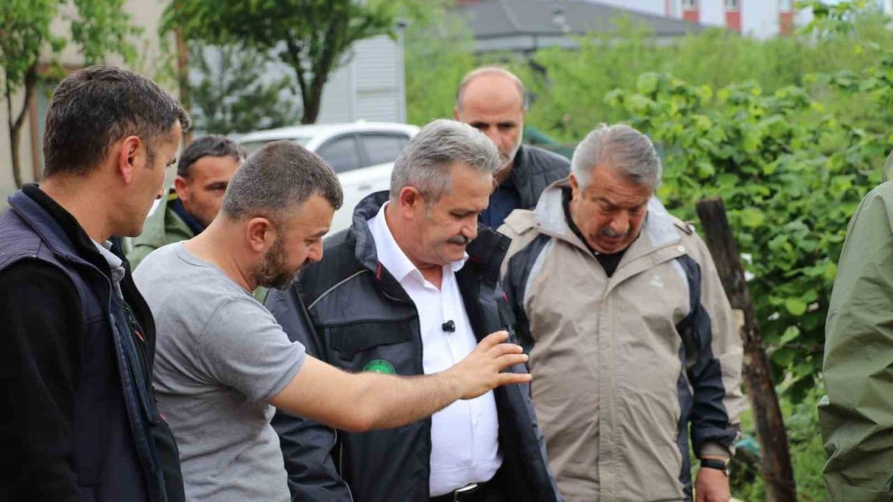 Cumayeri Belediyesi yoğun yağışlara karşı tüm birimleriyle sahada