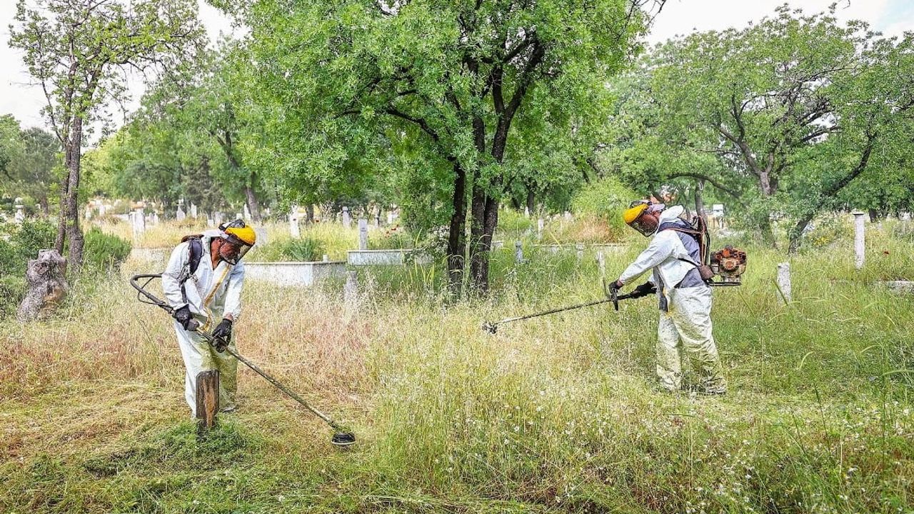 Denizli'de mezarlıklar Kurban Bayramı öncesi hazır: 115 mezarlıkta bakım ve temizlik