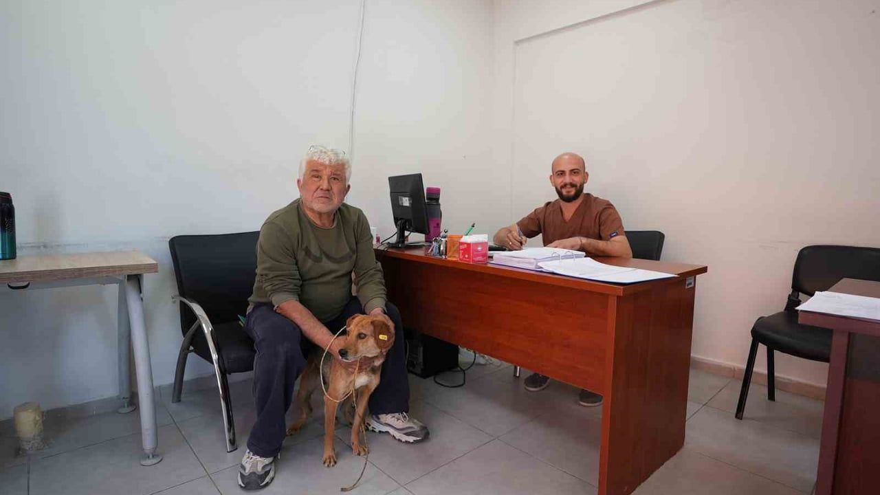 Denizli'de sokak hayvanları kısırlaştırma ve sahiplendirmede belirgin artış
