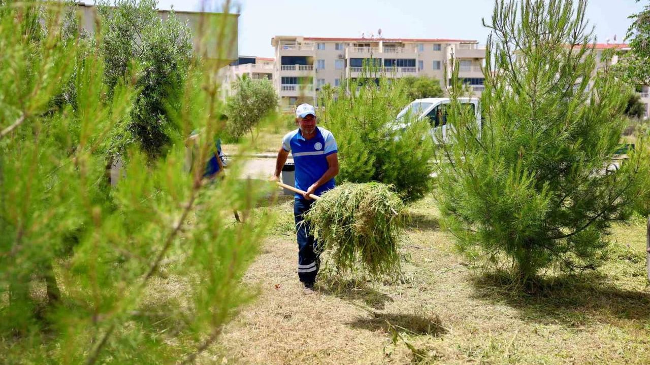 Didim Belediyesi'nden okullarda kapsamlı ot biçme ve çevre düzenleme çalışmaları