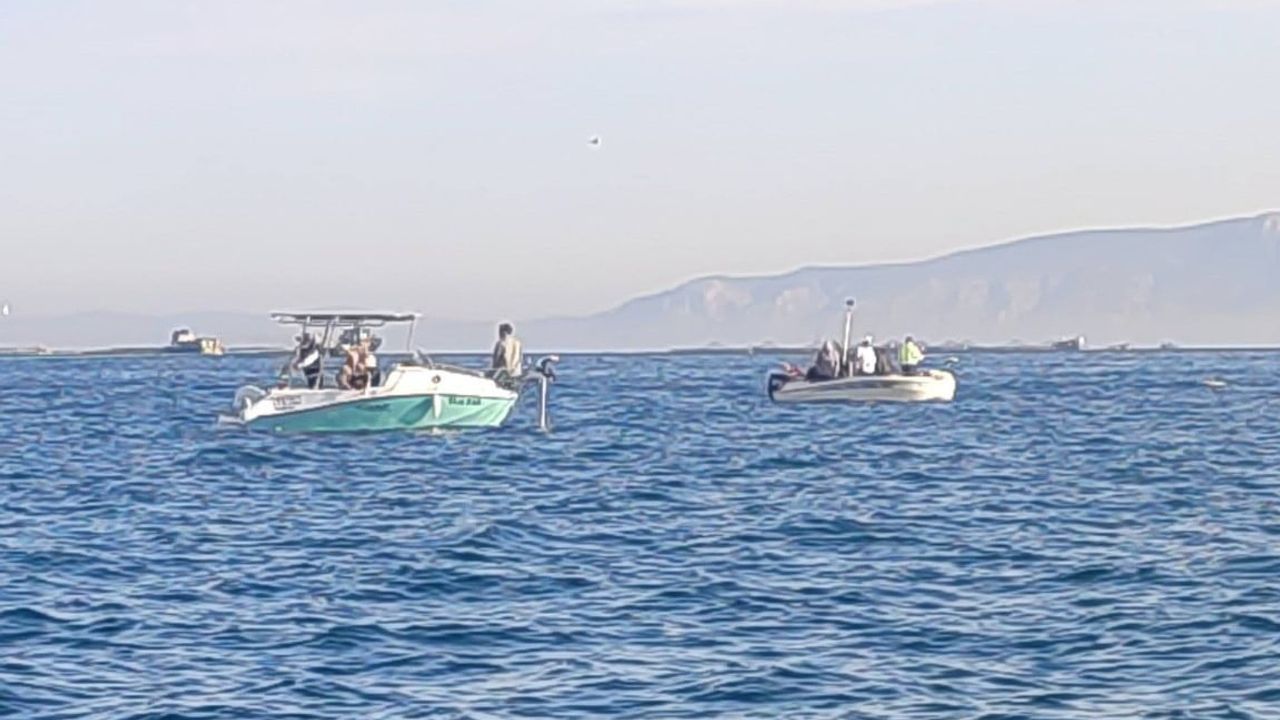 Didim'de balıkçı teknelerine denetim: Belge ve ürün kontrolleri yapıldı