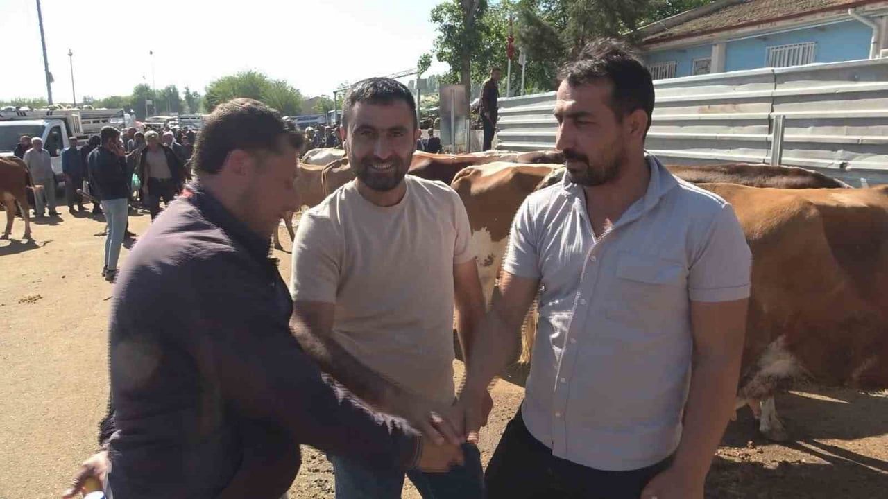 Diyarbakır Canlı Hayvan Borsası'nda Kurbanlık Hareketliliği