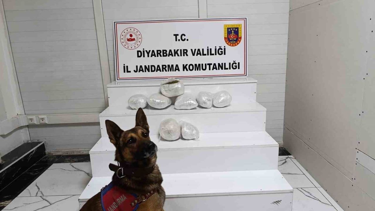 Diyarbakır'da jandarma operasyonu: 150 şüpheli hakkında yasal işlem
