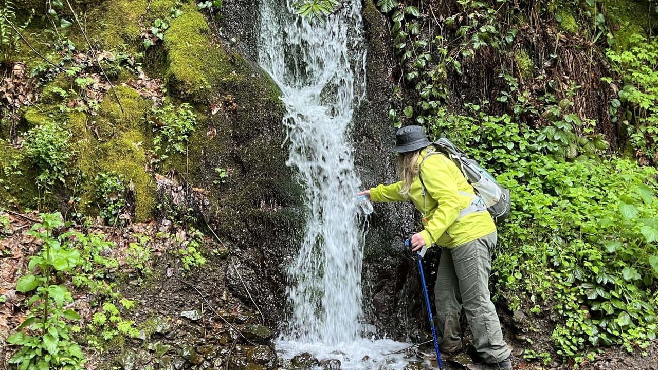 Doğa Kocaeli etkinliği: Ayvazpınarı-Kazıklıbel'de 10 kilometrelik parkur tamamlandı