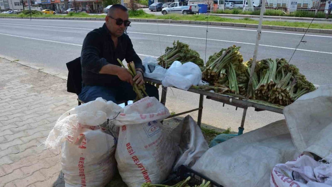 Doğu Anadolu yaylası ışgını Erzincan Tercan'da tezgâhlarda: Kilogramı 100–200 TL