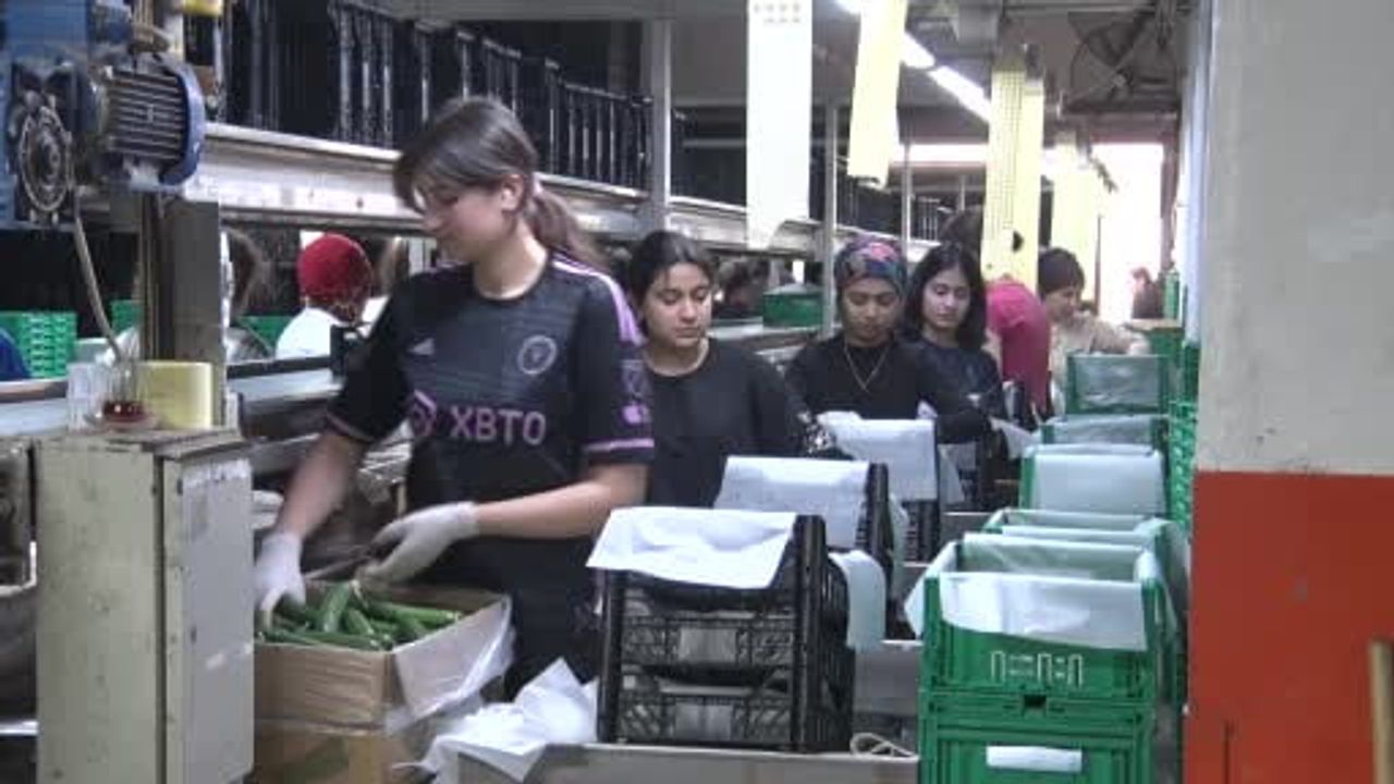 Domateste üretim planlaması: Fiyat istikrarının anahtarı
