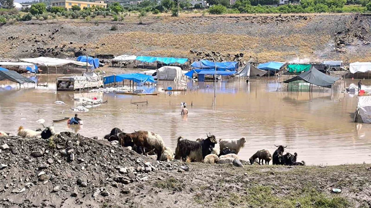 Dörtyol'da Kurban Bayramı hayvan pazarı sellere teslim oldu, üreticiler hayvanları kurtarıyor