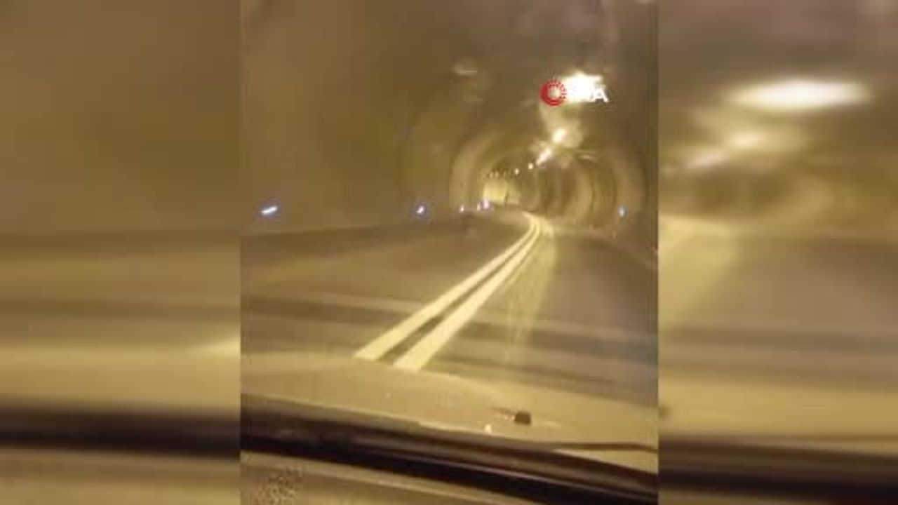 Duroğlu Tüneli'nde gece saatlerinde ayı ile karşılaşma: Araç önünde uzun süre koştu