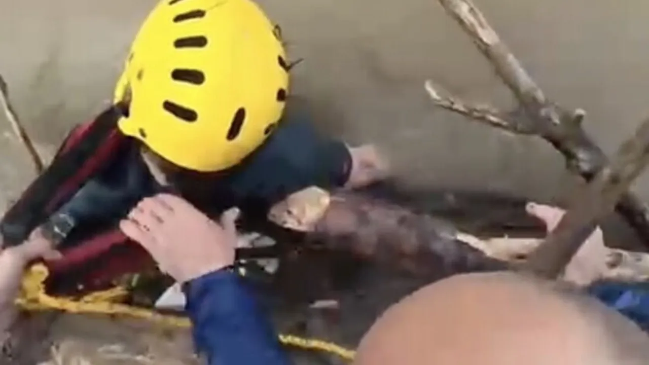 Düzce Cumayeri'nde rafting kazası: Cansu Engin Çamur'un cansız bedenine ulaşıldı