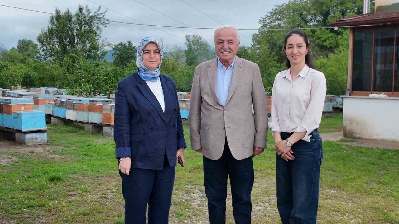 Düzce'de 27 yaşındaki girişimci Güler Şahin'in 350 kovanlık arıcılık başarısı