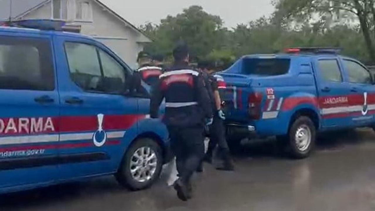 Düzce'de evinde iklimlendirme sistemiyle kenevir yetiştiren kişi yakalandı