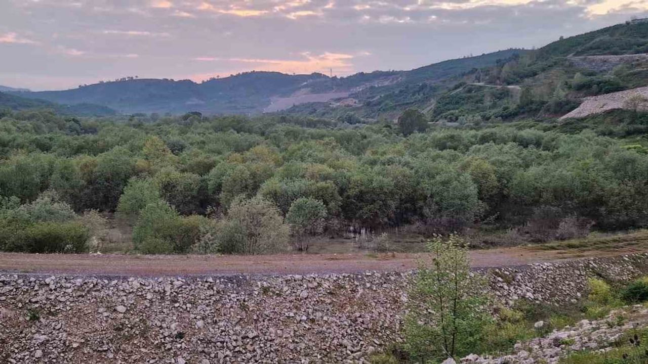 Düzce'de rafting botundan düşen Cansu Engin Çamur’un cansız bedeni Sakarya'da bulundu