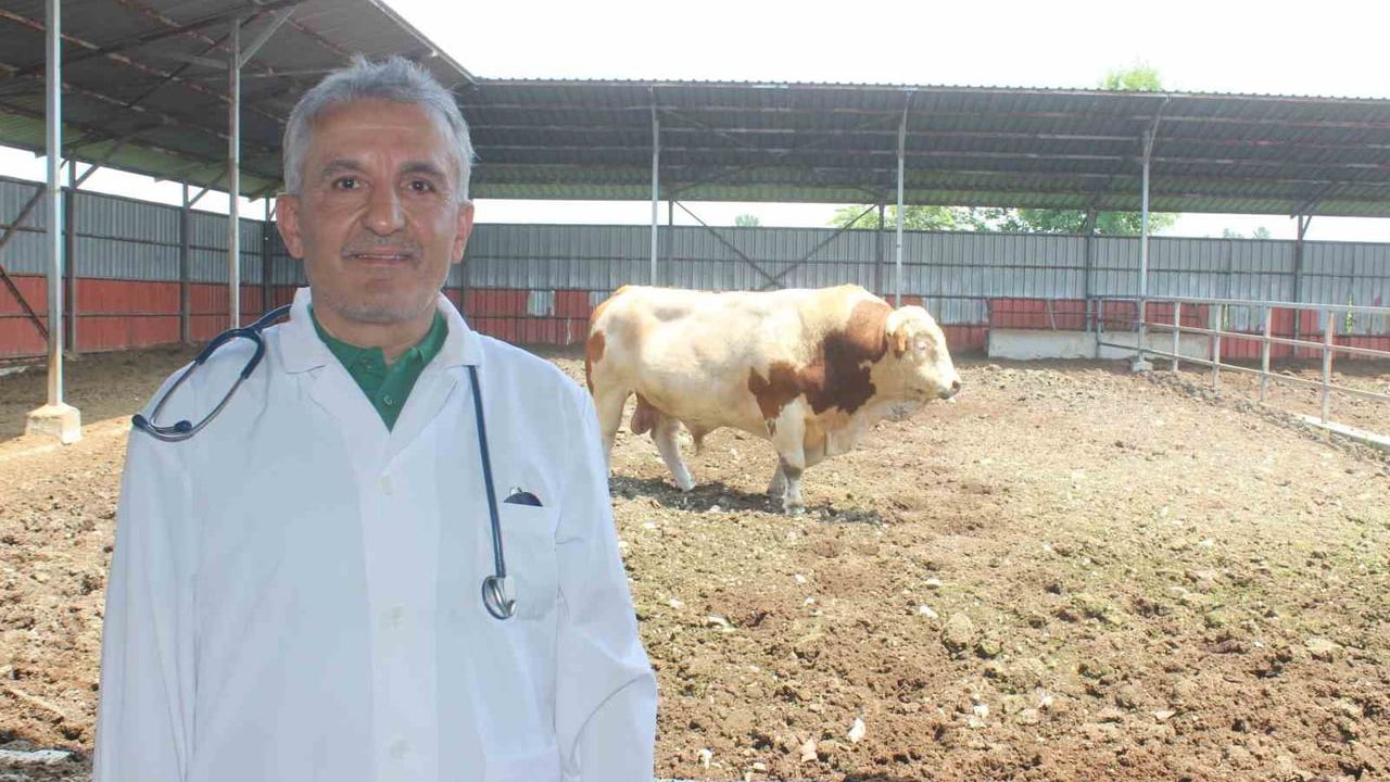 Düzce Veteriner Hekimleri Odası Başkanı Karanfil’den Kurban Kesimi Uyarıları: "Kesime 6 Saat Kala Yem Verilmeyin"