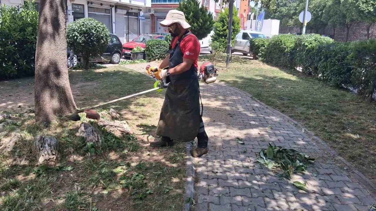 Efeler'de parklar yaza hazırlanıyor: Belediye bakım çalışmalarını sürdürüyor