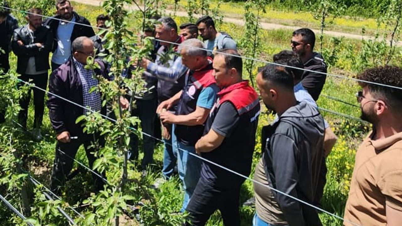 Eğirdir’de budama ve aşılama kursuna yoğun ilgi: 35 kursiyer sertifika aldı
