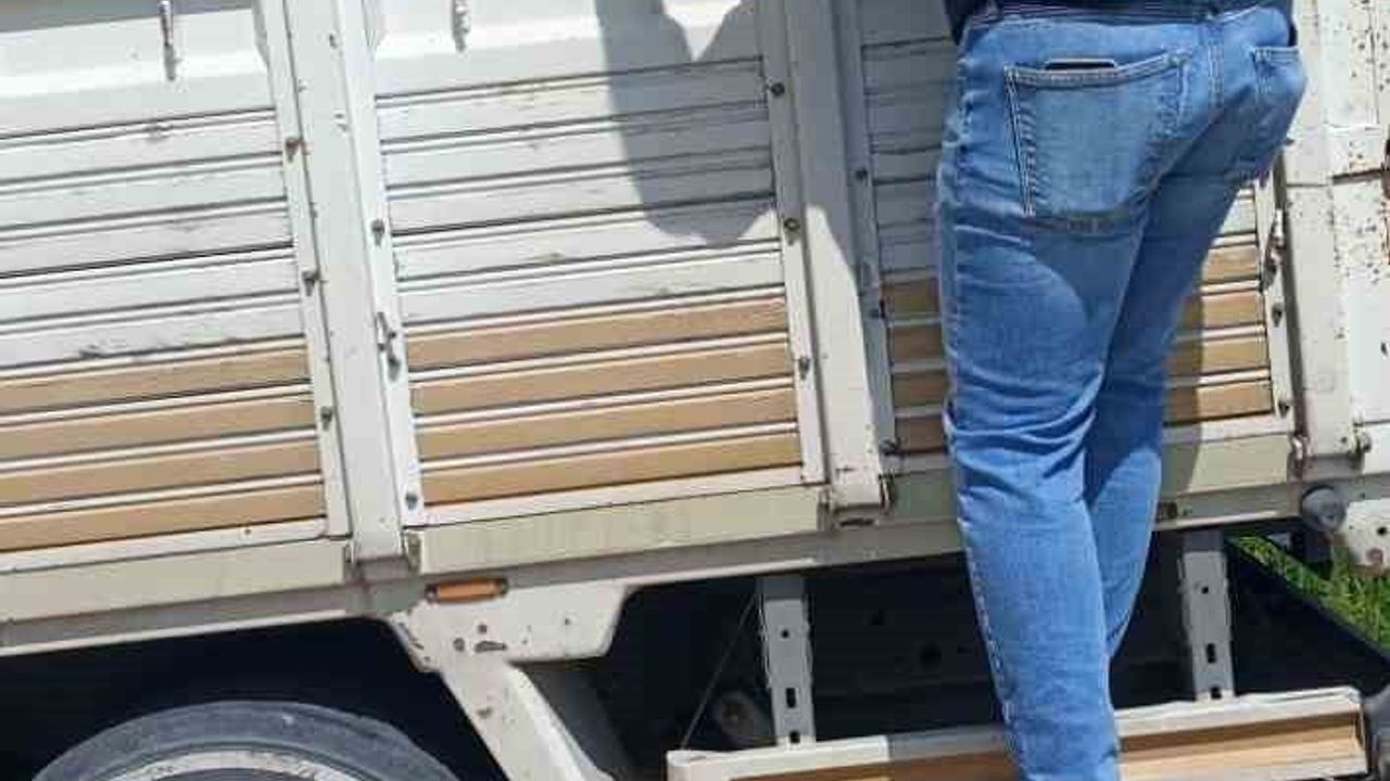 Eğirdir’de Kurban Bayramı Öncesi Hayvan Sevklerine Sıkı Denetim