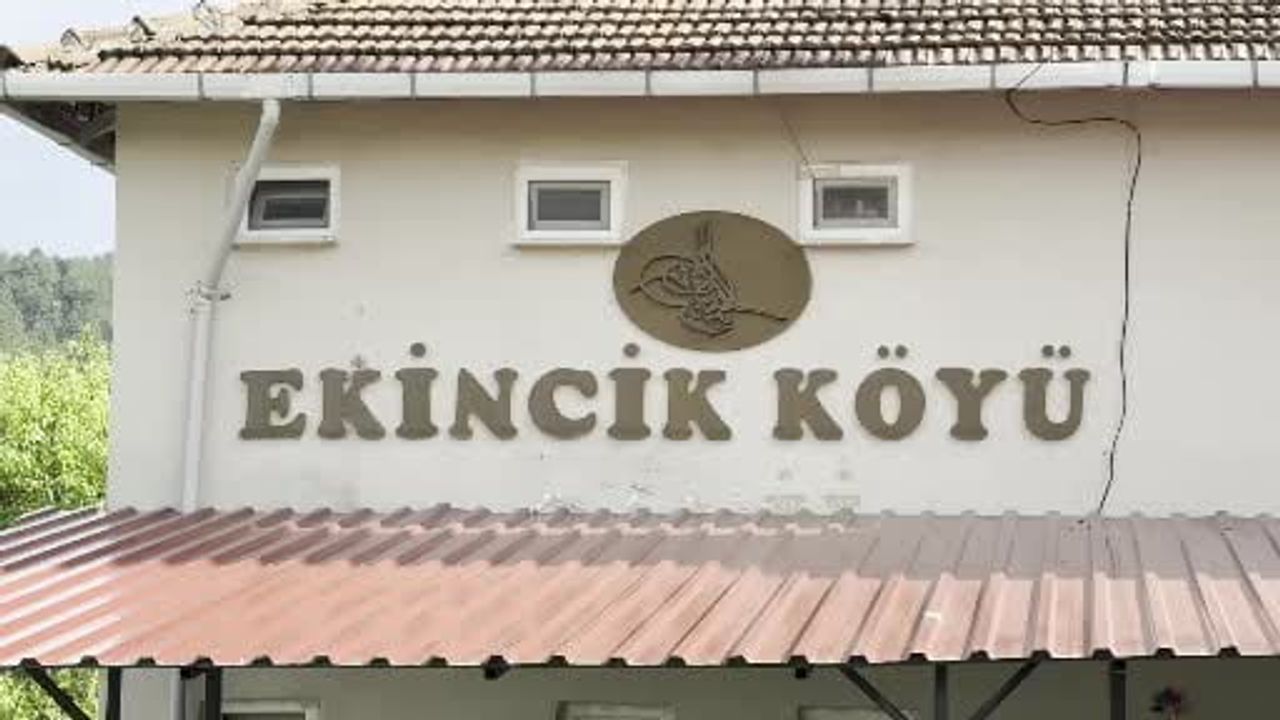 Ekincik'te 'ziyrat' geleneği yaşatılıyor: Mehmet Ali Şahin de katıldı