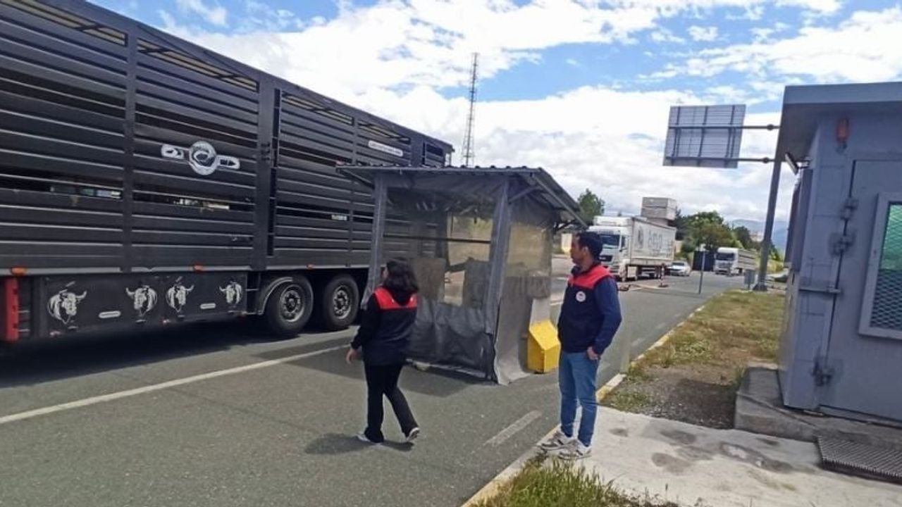 Elazığ'da Kurban Bayramı Öncesi Hayvan Sevkleri Sıkı Denetim Altında