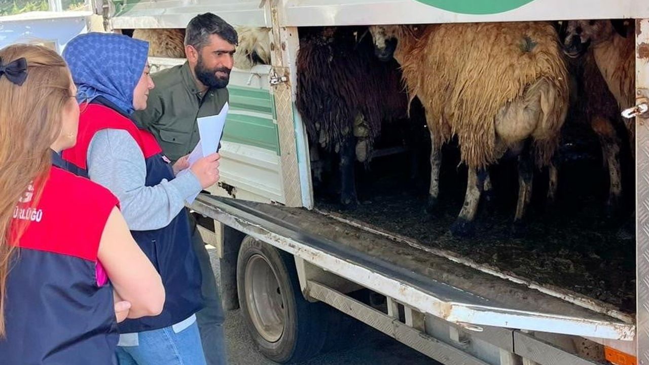 Elazığ'da Kurban Bayramı Öncesi Yol Kontrolleri ve Hayvan Sağlık Denetimleri