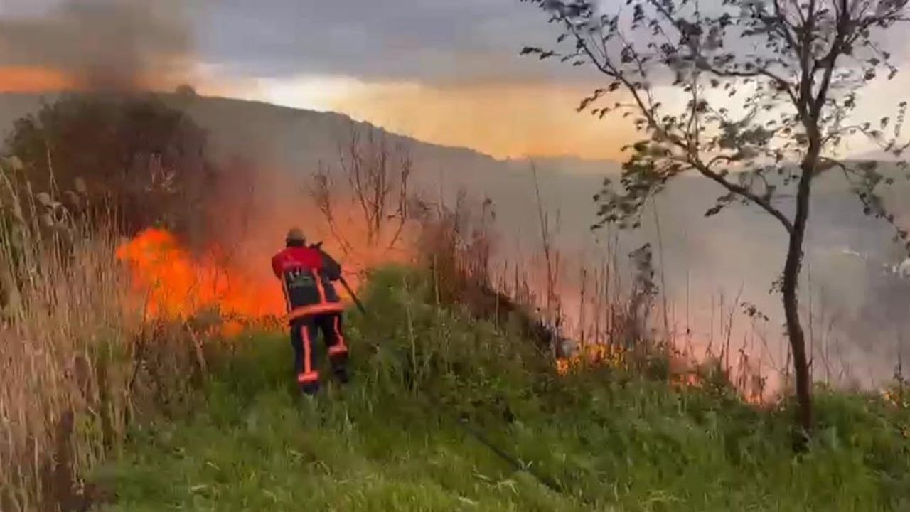 Elazığ'da Kuşçu köyü yakınlarında otluk yangını kontrol altına alındı
