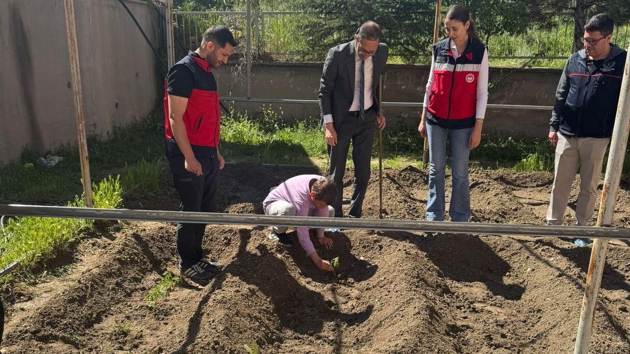 Emet’te minik öğrenciler fide dikerek doğayla buluştu