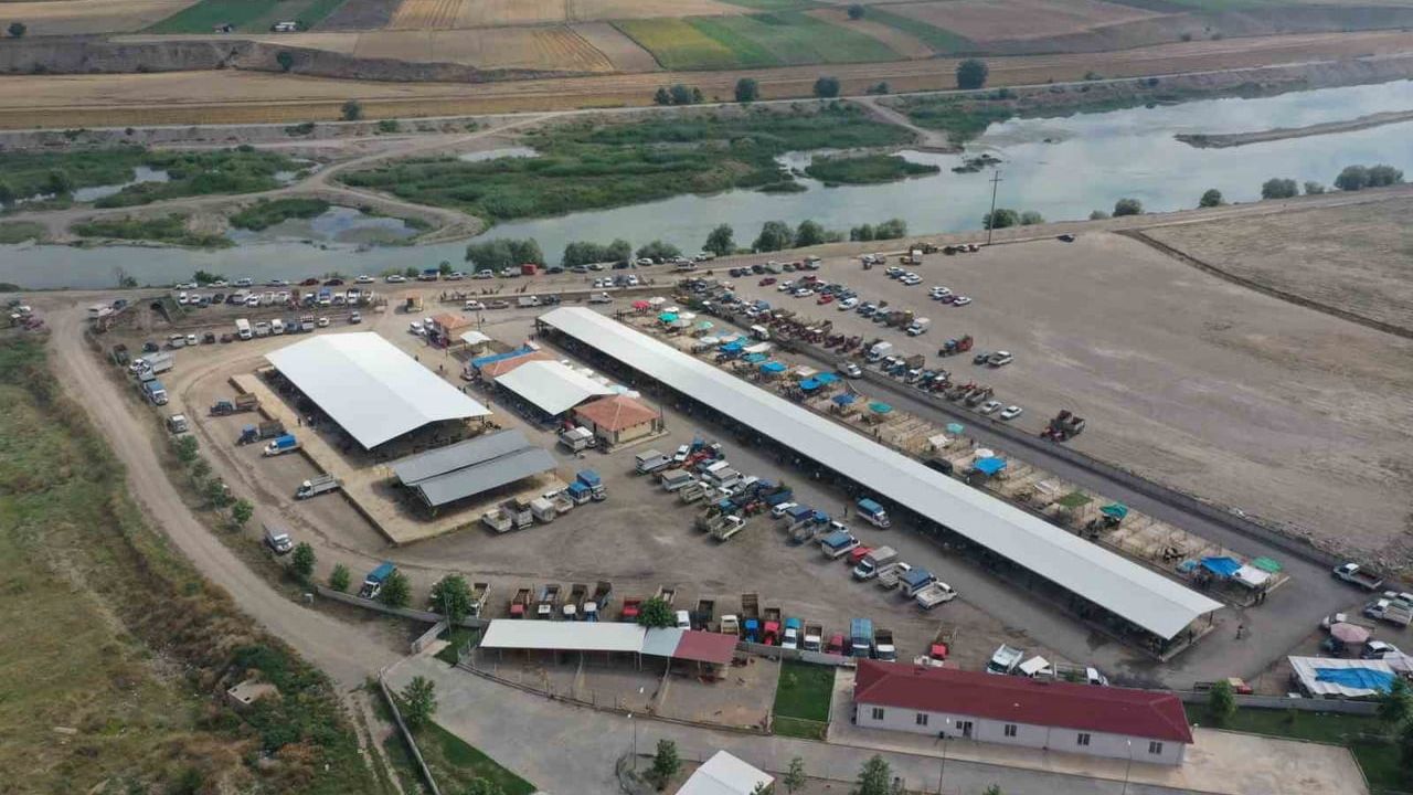 Erbaa Hayvan Pazarı 23 Mayıs Cumartesi Günü Yeniden Açılıyor