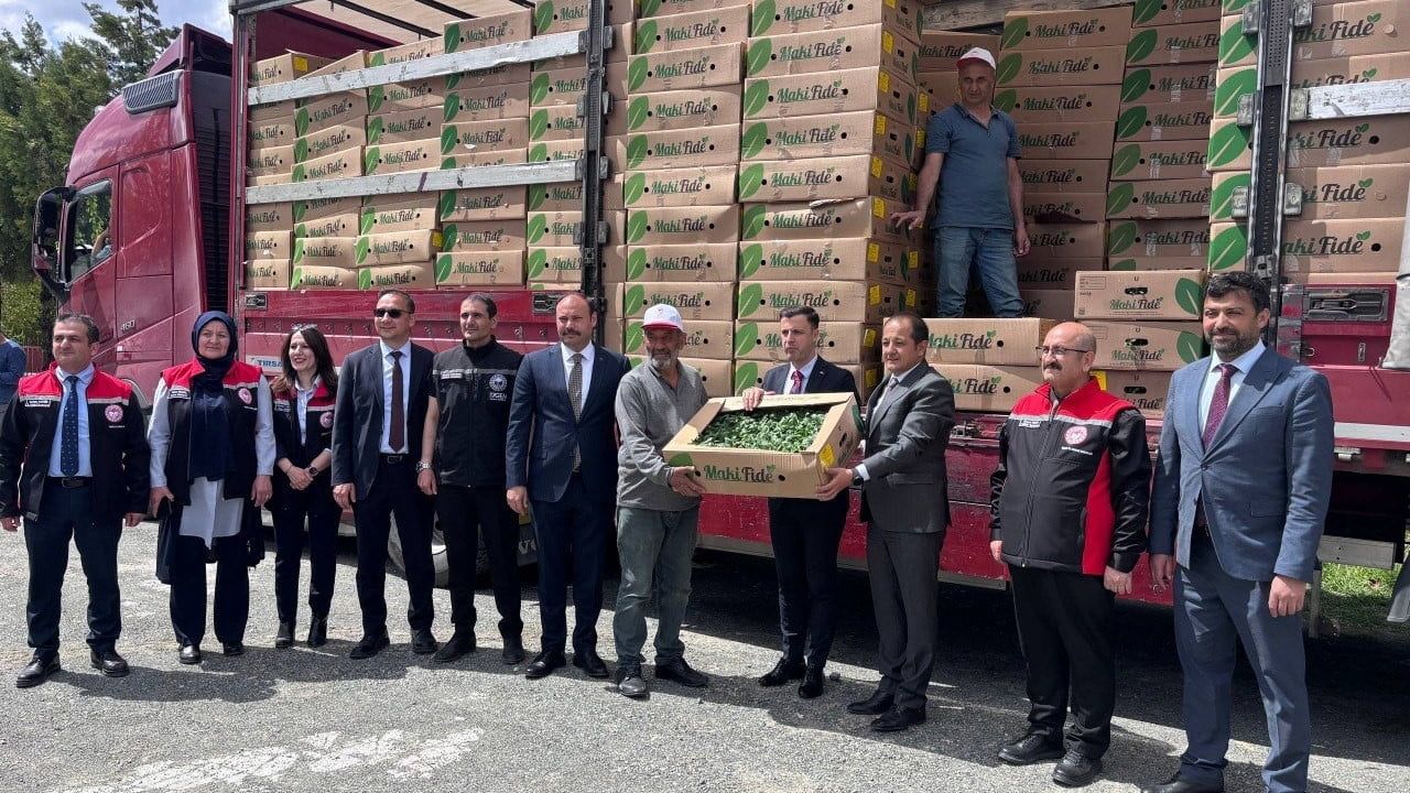Erzincan'da 220 üreticiye 779 bin 520 kapya biber ve domates fidesi dağıtıldı