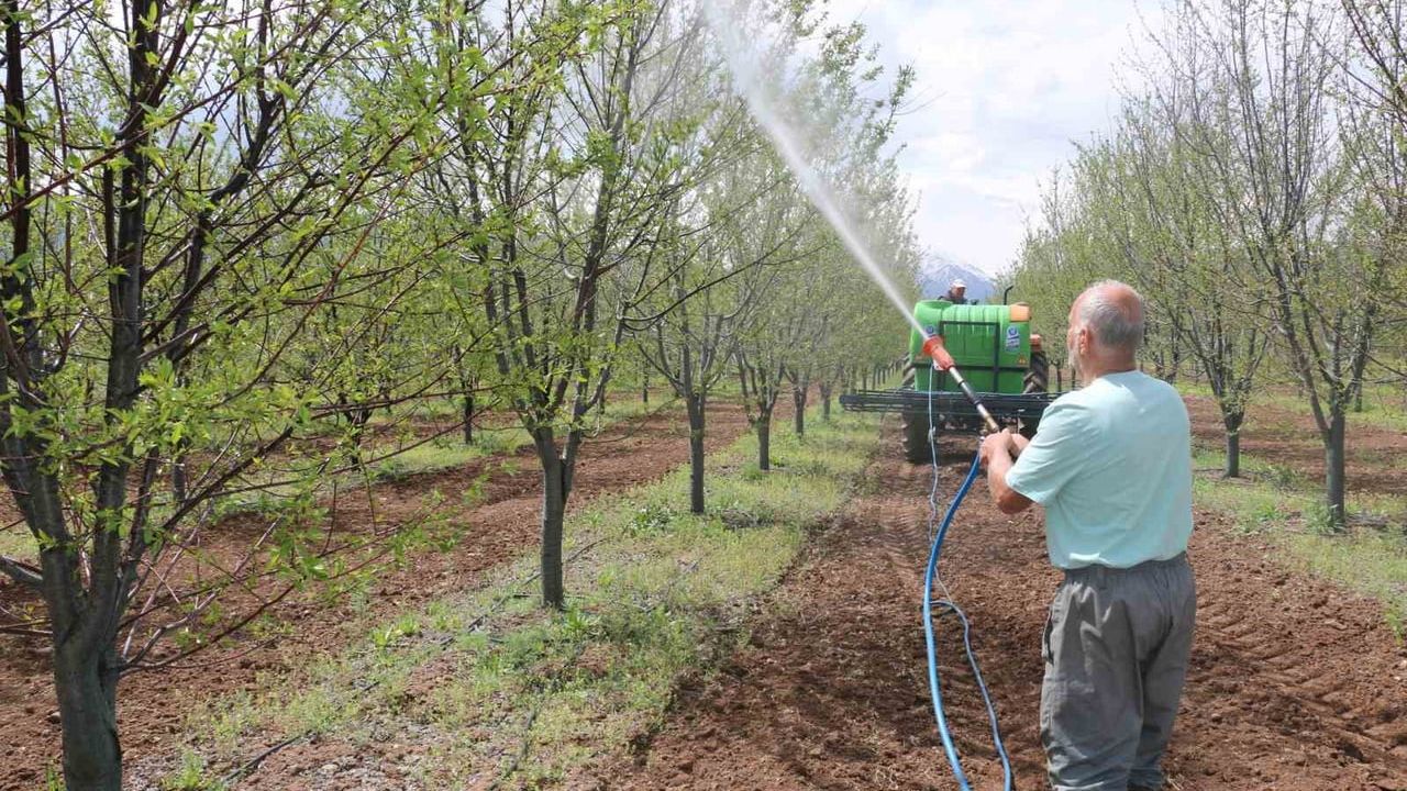 Erzincan'da yağış sonrası meyve ilaçlaması uyarısı