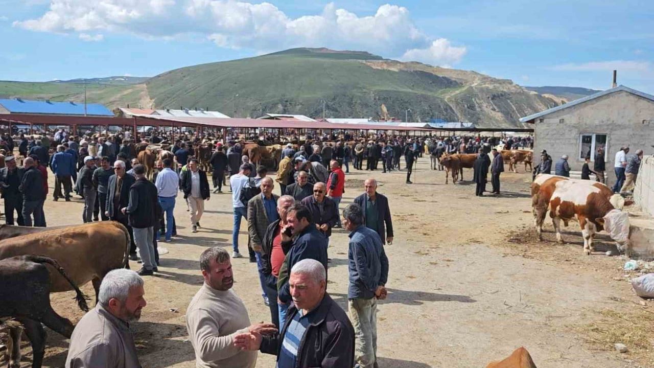 Erzurum Aşkale'de Kurban Pazarı Hareketlendi: Fiyatlar Geçen Yıla Göre Yüksek