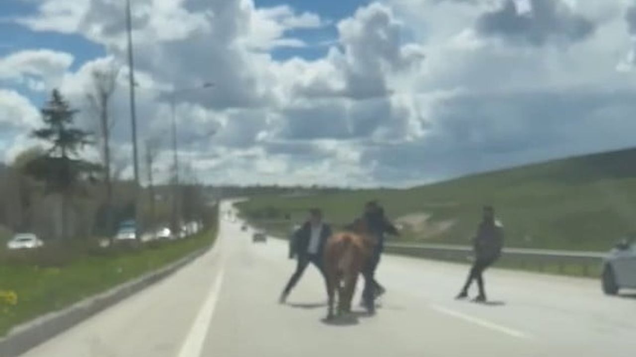 Erzurum'da Arefe Günü: Kaçan Kurbanlıklar Trafikte Aksamaya Yol Açtı
